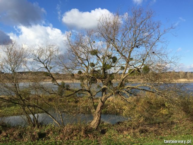 Kazimierz Dolny, an idea for a weekend, weekend out of town, weekend out of Warsaw