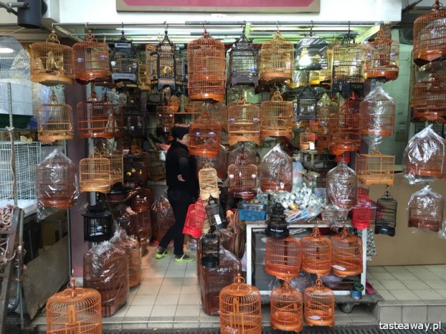 Hong Kong, birds fair, what to see in Hong Kong