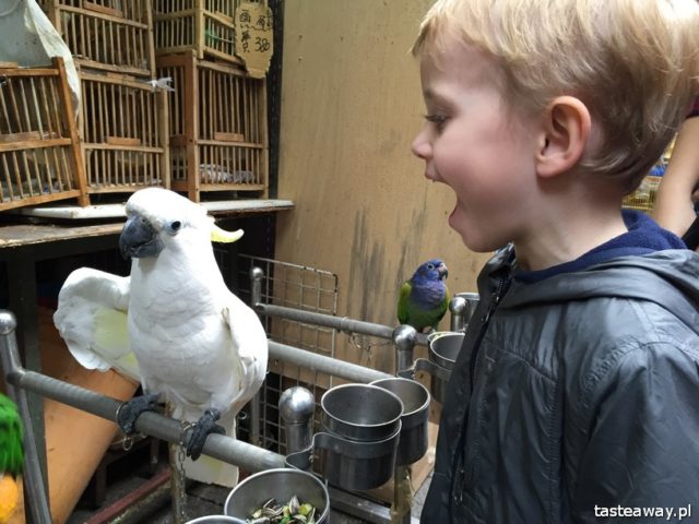 Hong Kong, Bird Garden, birds fair