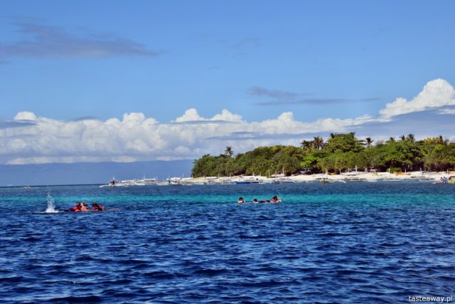 Philippines, paradise islands, Panglao, Balicasag, Virgin Island