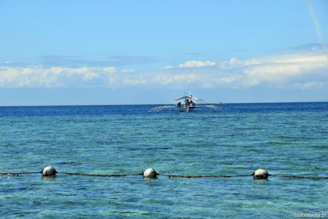 Balicasag, a trip to Balicasag, Panglao, Philippines, what to do on Panglao