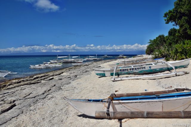 Philippines, paradise islands, Panglao, Balicasag, Virgin Island