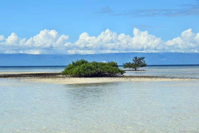 Philippines, paradise islands, Panglao, Balicasag, Virgin Island