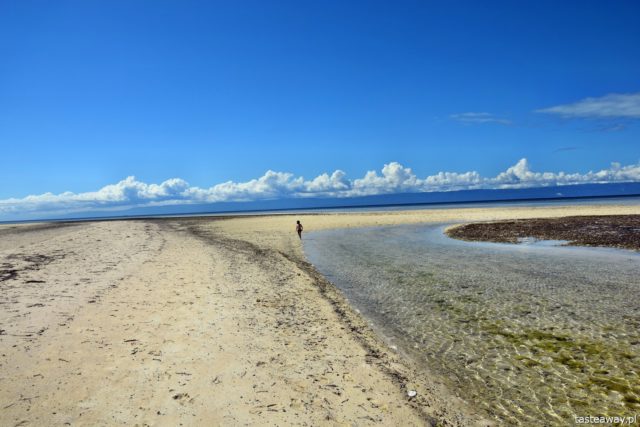 Philippines, paradise islands, Panglao, Balicasag, Virgin Island