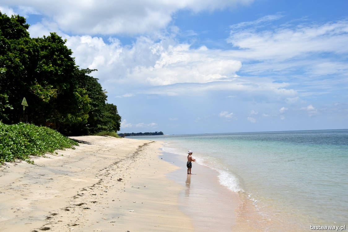 Tasteaway, podsumowanie roku, Azja, podróż do Azji
