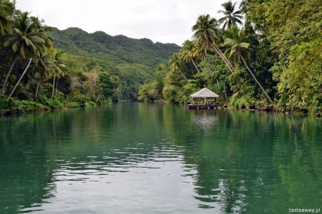 , Loboc, LOboc River Cruise