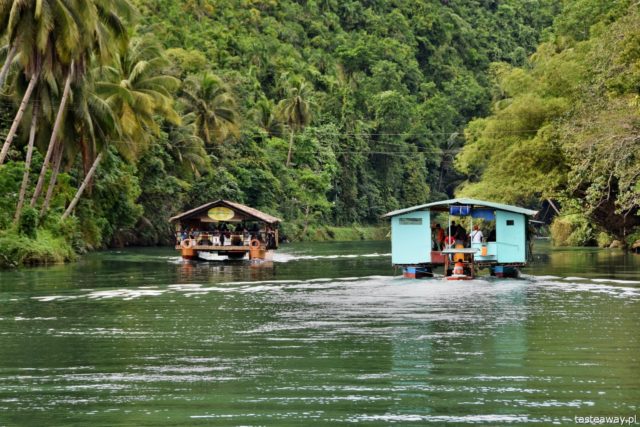 , Loboc, LOboc River Cruise