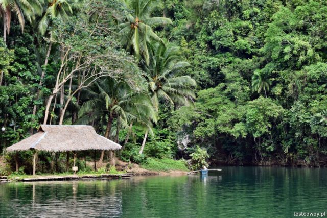 , Loboc, LOboc River Cruise