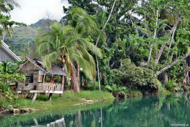 , Loboc, LOboc River Cruise