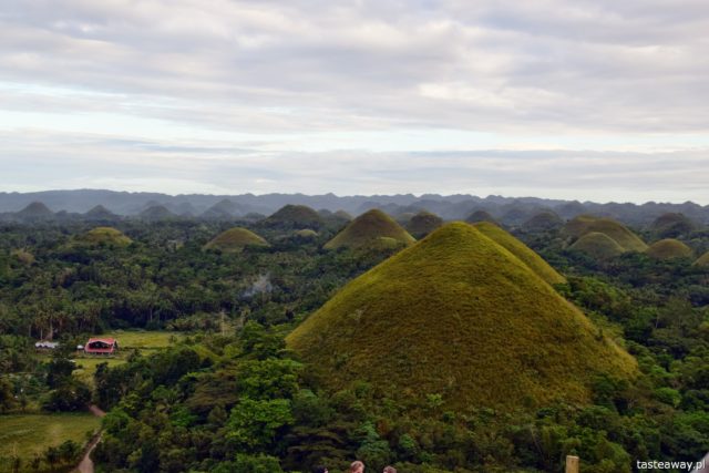 Bohol, Philippines, Chocolate Hills, Chocolate Hills, what to see on Bohol, What to see in the Philippines