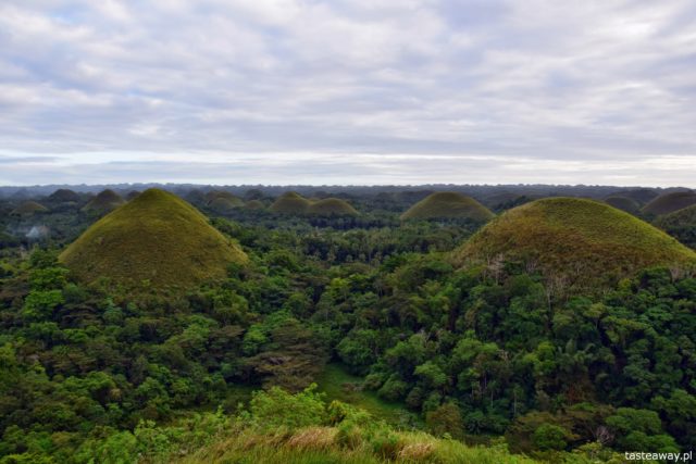 Bohol, Philippines, Chocolate Hills, Chocolate Hills, what to see on Bohol, What to see in the Philippines