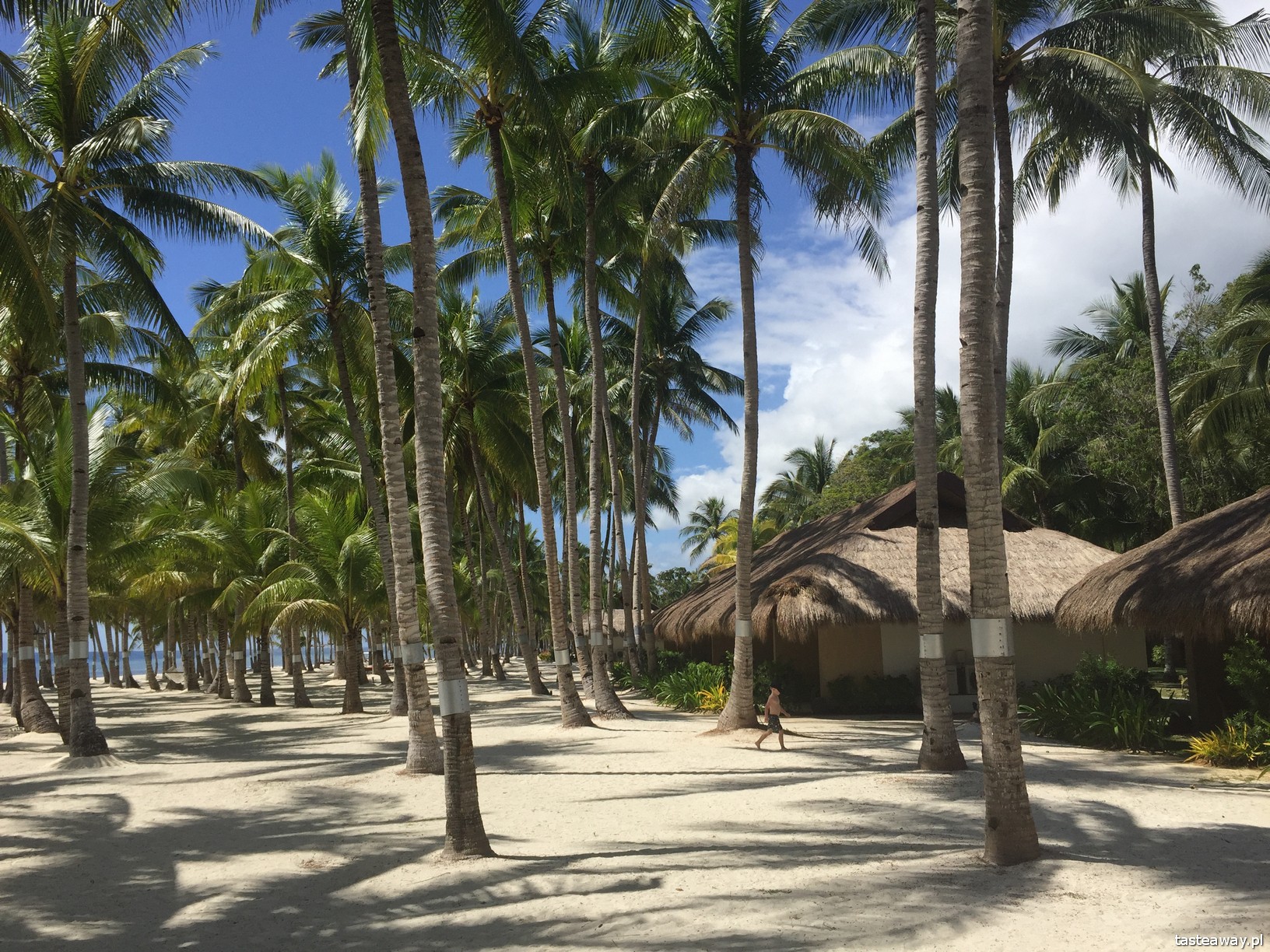 South Palms Resort Panglao, Panglao, Bohol, Filipiny, rajskie wakacje, rajskie hotele, Azja
