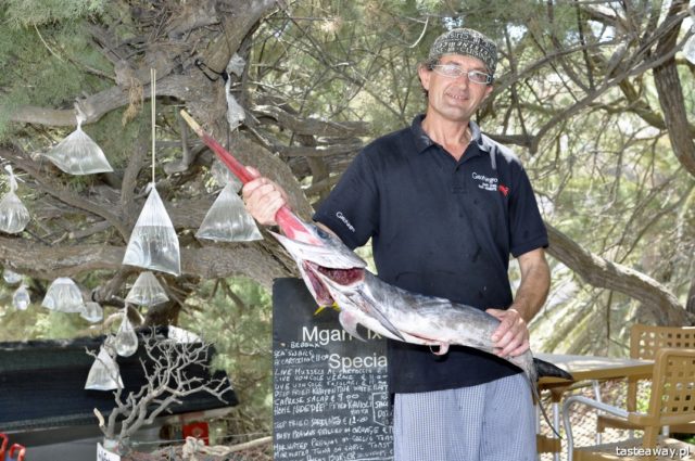 where to go for vacation, ideas for vacation, ideas for the summer, vacation in Europe, Malta, Gozo