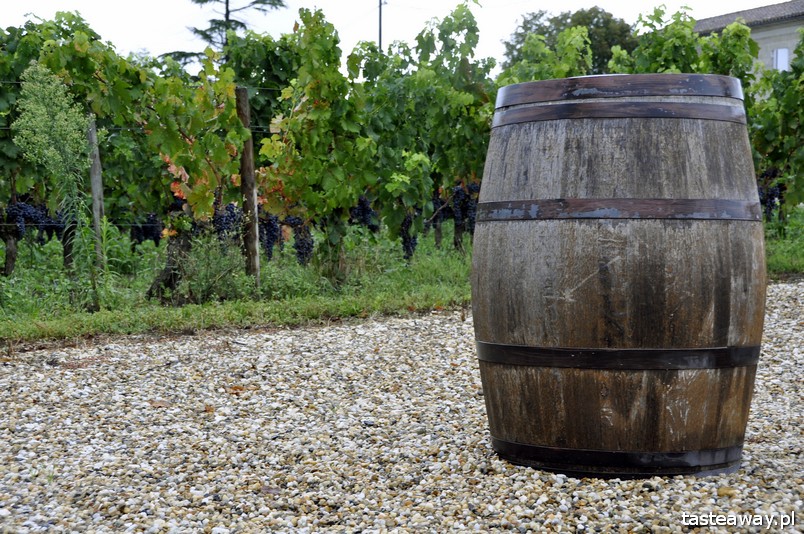 Francja, wino, francuskie wino, Bordeaux, Saint Emilion
