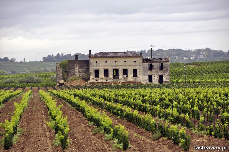 Francja, francuskie wina, Saint Emilion, winnice, chateau, PAUL