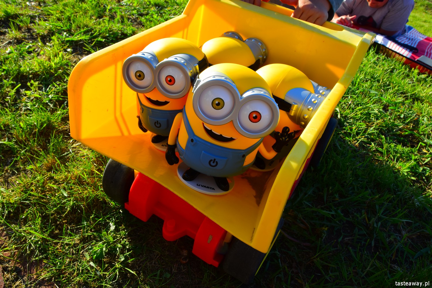 impreza w plenerze, wakacyjna impreza, impreza dla dzieci i dorosłych, jak zorganizować wakacyjną imprezę w plenerze, Mazurska Arkadia, lampki minionki VARTA