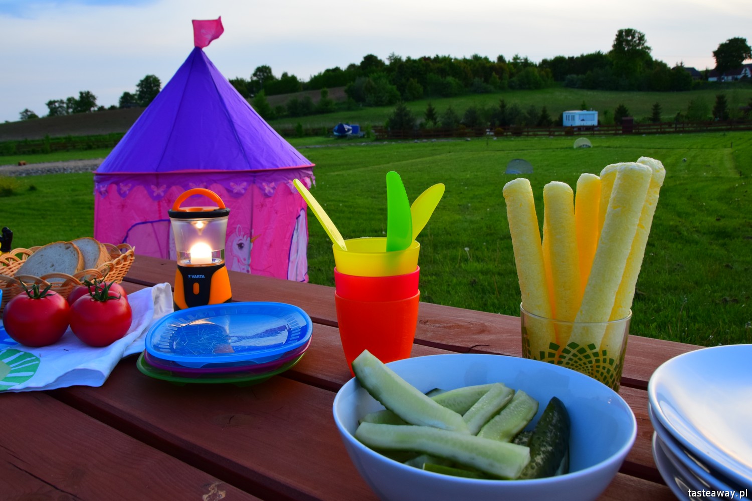 impreza w plenerze, wakacyjna impreza, impreza dla dzieci i dorosłych, jak zorganizować wakacyjną imprezę w plenerze, Mazurska Arkadia, grill, VARTA