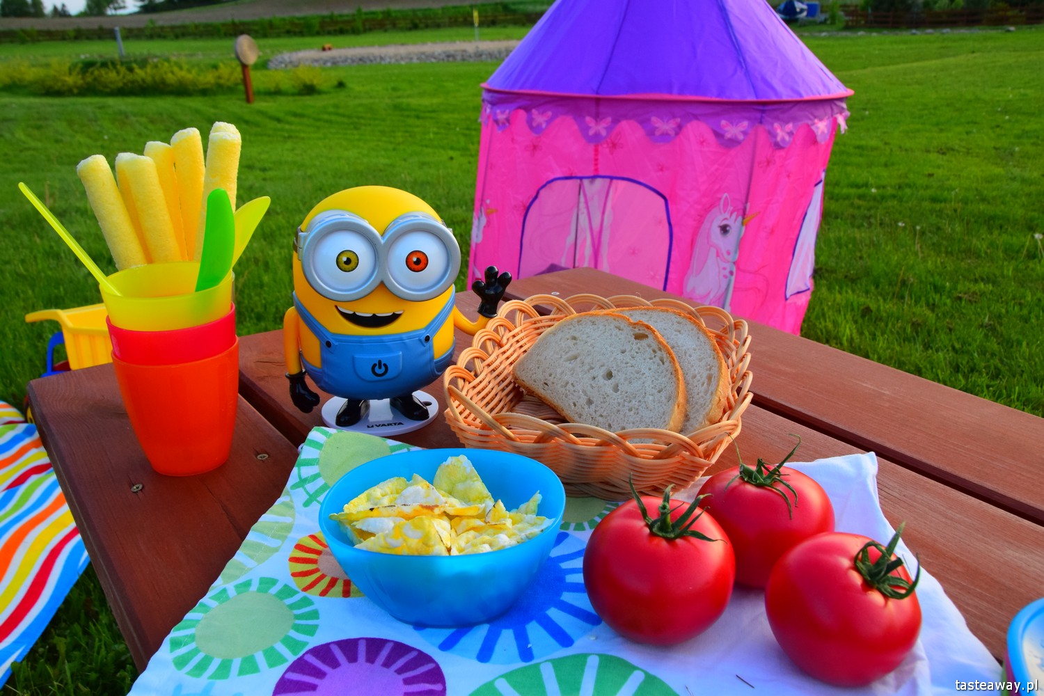 impreza w plenerze, wakacyjna impreza, impreza dla dzieci i dorosłych, jak zorganizować wakacyjną imprezę w plenerze, Mazurska Arkadia, lampki minionki VARTA