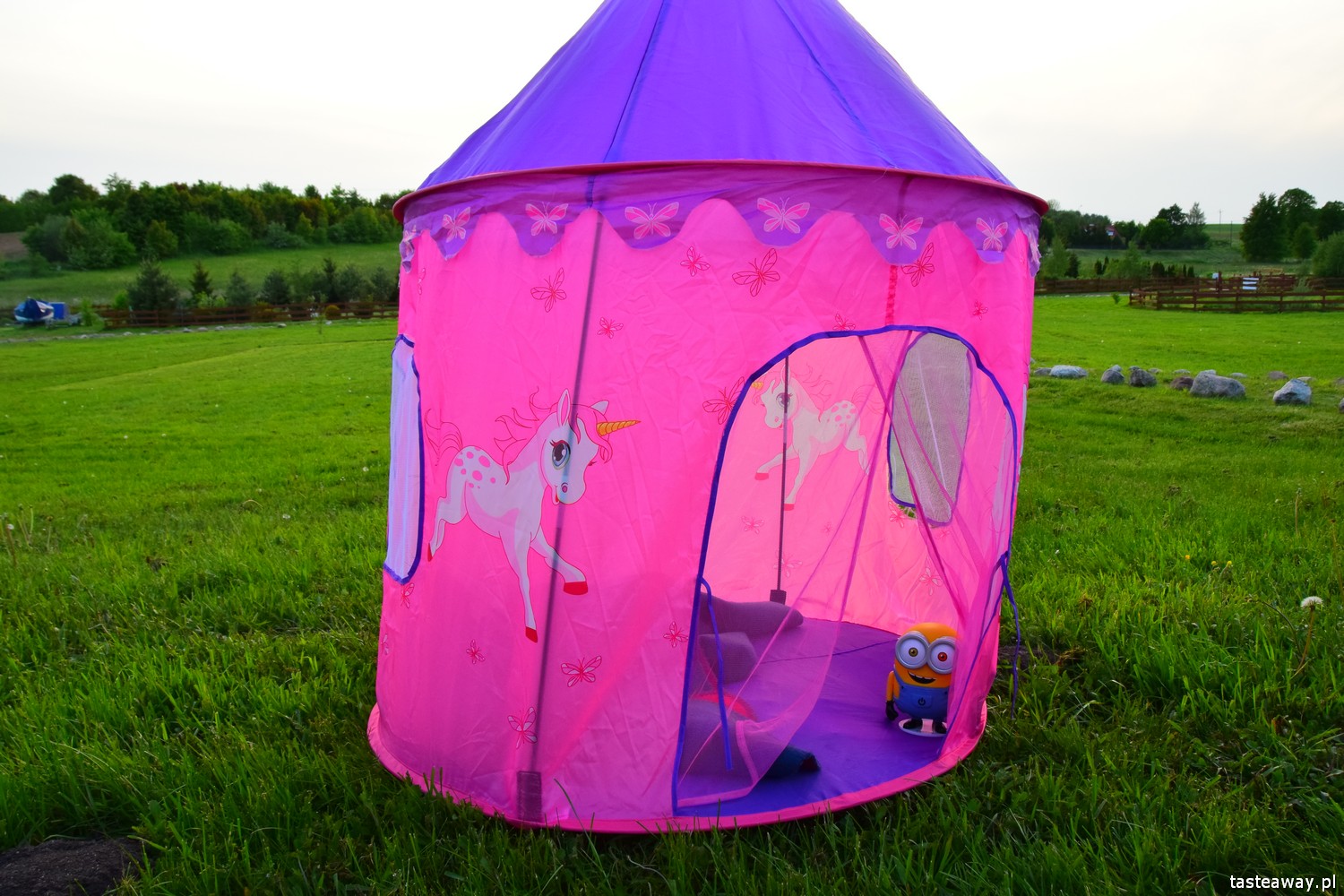 impreza w plenerze, wakacyjna impreza, impreza dla dzieci i dorosłych, jak zorganizować wakacyjną imprezę w plenerze, Mazurska Arkadia, lampki Minionki VARTA