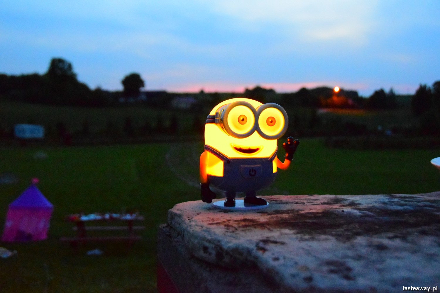 impreza w plenerze, wakacyjna impreza, impreza dla dzieci i dorosłych, jak zorganizować wakacyjną imprezę w plenerze, Mazurska Arkadia, lampki Minionki