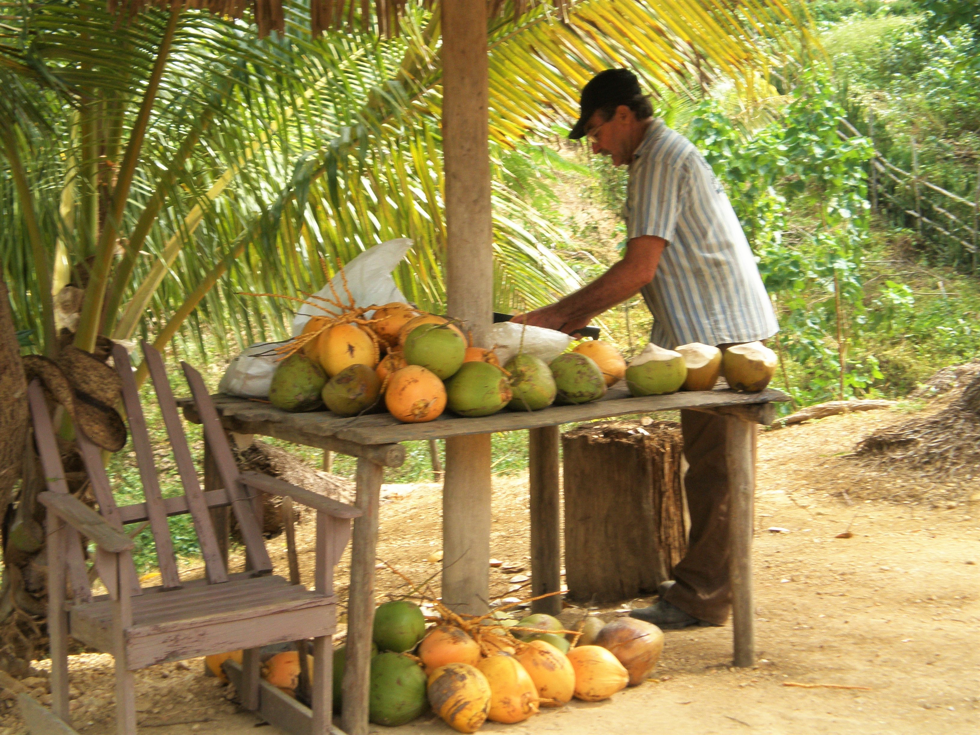 Kuba, wieczór kubański, Havana Club, mojito, przepis na mojito, prosto z serca Kuby, jak zrobić kubańskie mojito