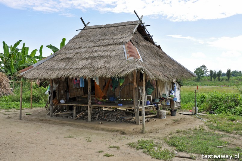 Tajlandia, co zobaczyć w Tajlandii, Chiang Rai, pólnoc Tajlandii, co zobaczyć na północy Tajlandii