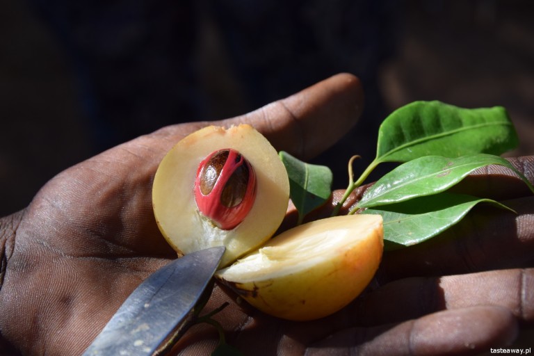 podróże, inspiracje podróżnicze, gdzie jechać w 2017, podróżnicze pomysły na 2017, Zanzibar, Tanzania, Afryka