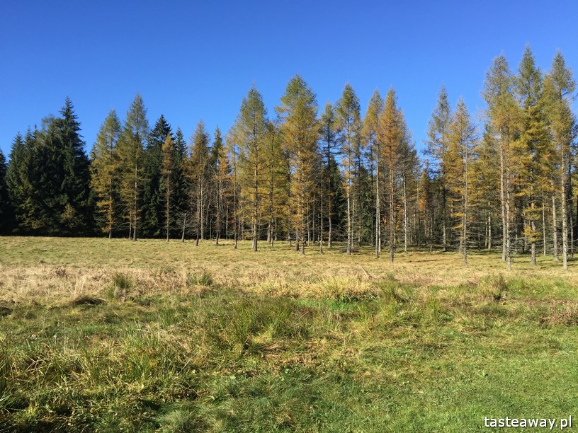 Willa Przy Dolinie Kościeliskiej, weekend w górach, nocleg w Zakopanem, nocleg w Kościelisku, gdzie spać w Zakopanem, gdzie spać w Kościelisku