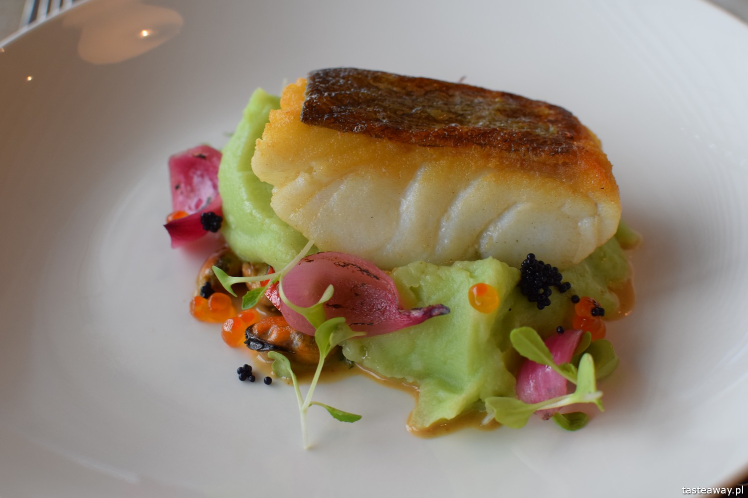 Mielżyński, Mielżyński Poznań, skrei, gdzie na skreia w Poznaniu, skrei, norweski dorsz zimowy, Gusto Food & Wine