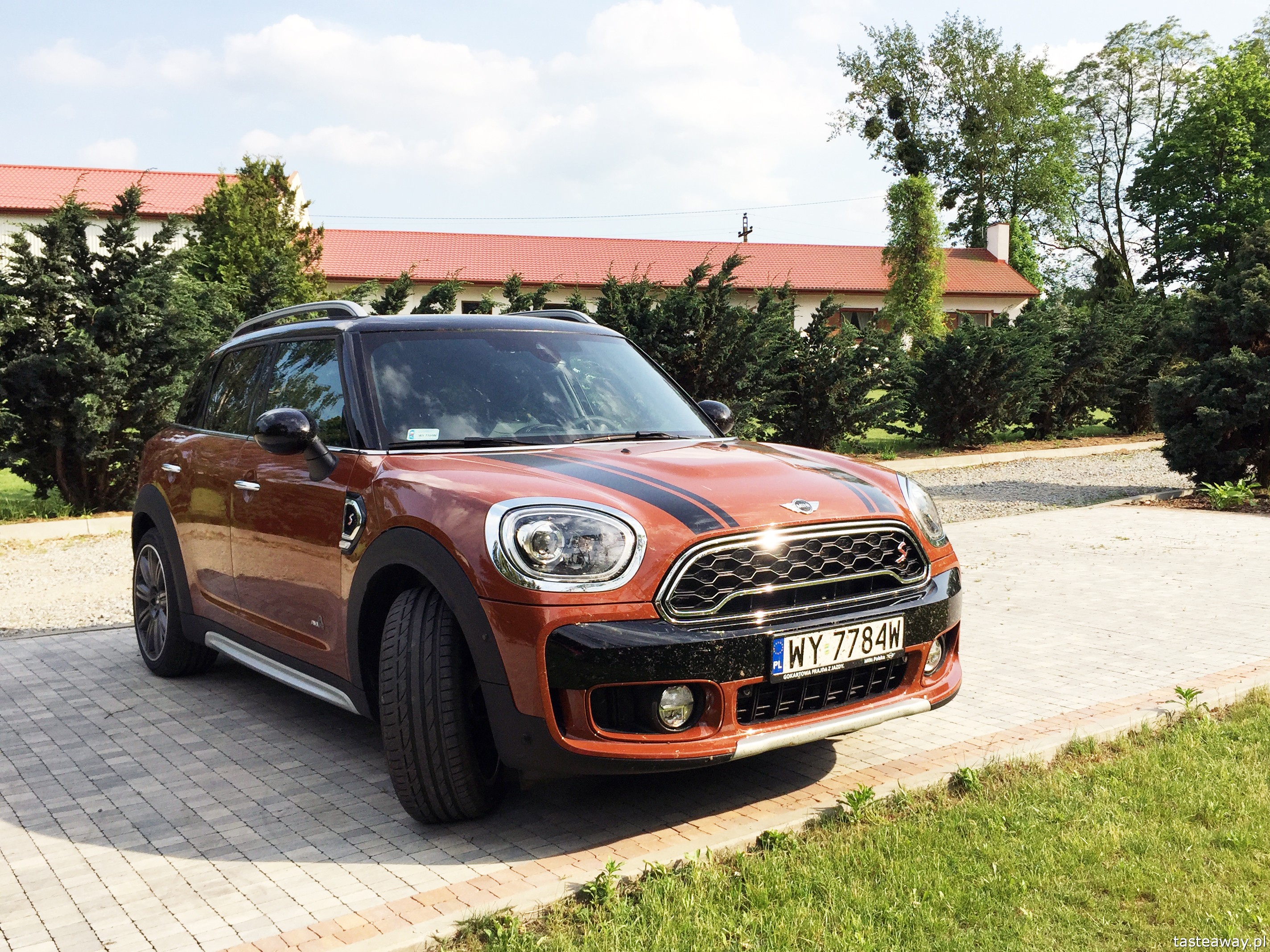 Borówkowe Domki, magiczne miejsca w Polsce, magiczne miejsca w okolicach Warszawy, plantacje borówek, gdzie na weekend