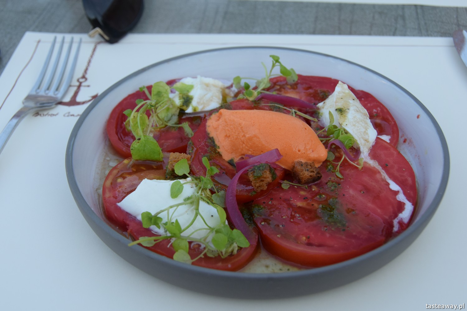 Francja, Oksytania, francja łódką, barką po Francji, Le Boat, pomysł na wakacje, pomysł na urlop, co robić we Francji, z dziećmi na łódce, podróżowanie z dziećmi, Montech, Bistrot Constant