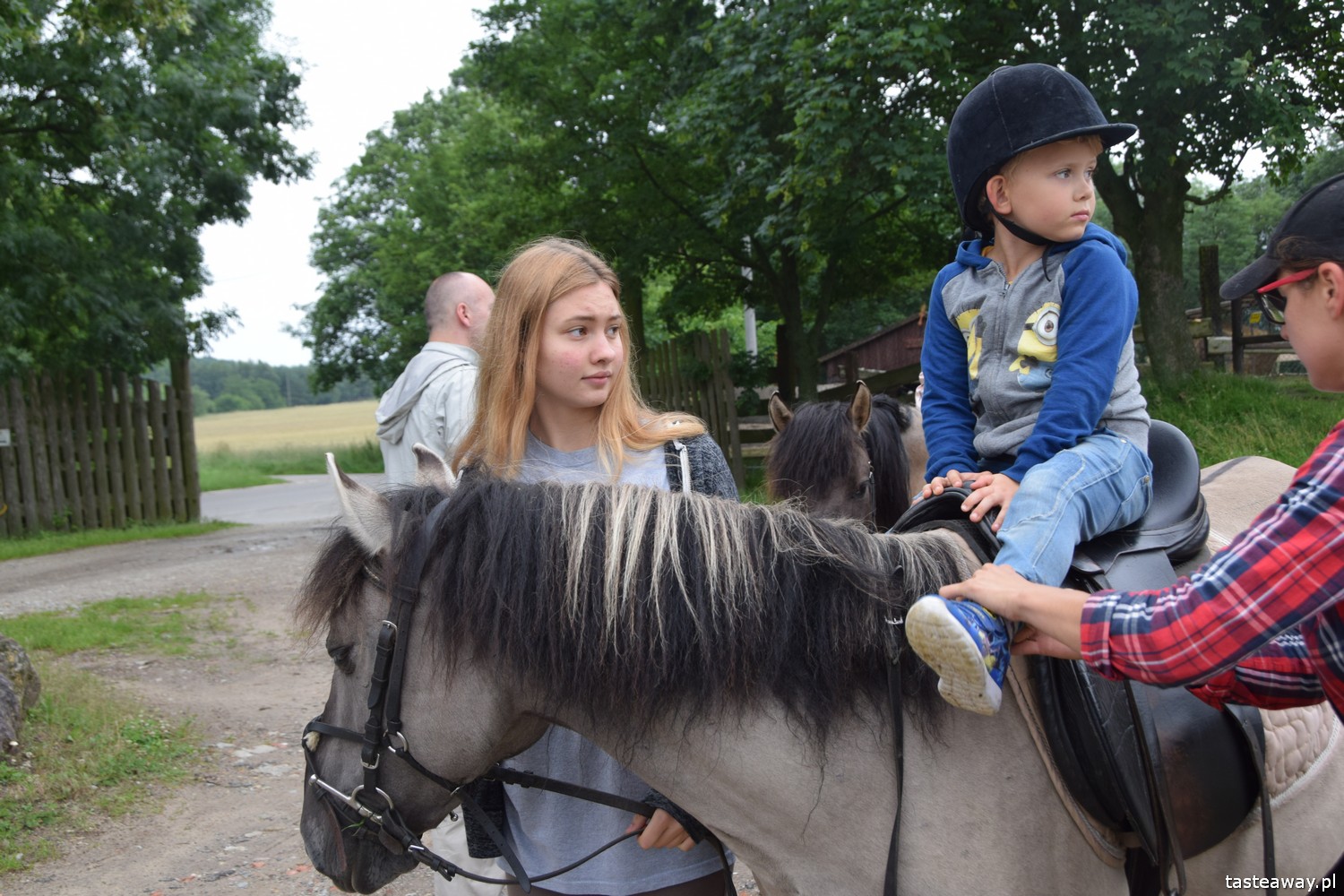Olandia, hotele przyjazne dzieciom, hotel skansen, Wielkopolska, hotele przyjazne rodzinie, atrakcje dla dzieci