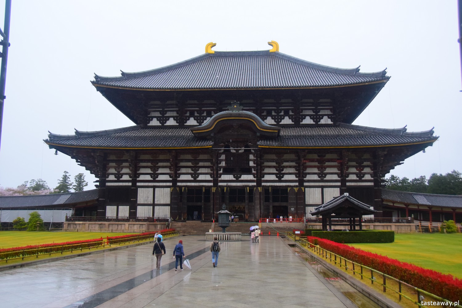 Japonia, co zobaczyć w Japonii, najważniejsze atrakcje w Japonii, jelonki w Nara, Japonia w 2 tygodnie, Nara, najpiękniejsze miejsca w Japonii