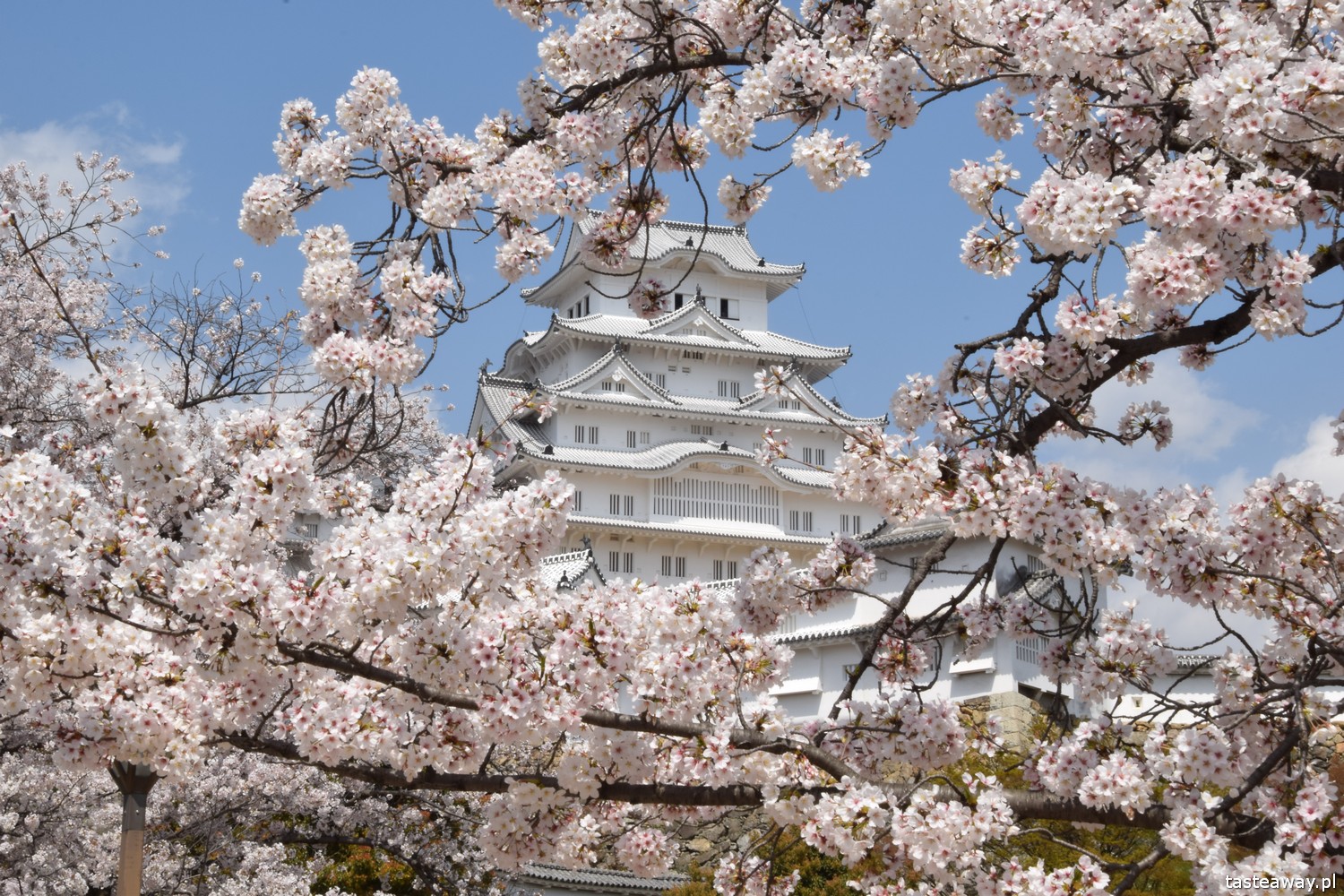 Japonia, co zobaczyć w Japonii, najpiękniejsze miejsca w Japonii, zamek Himeji, Himeji, Biała Czapla