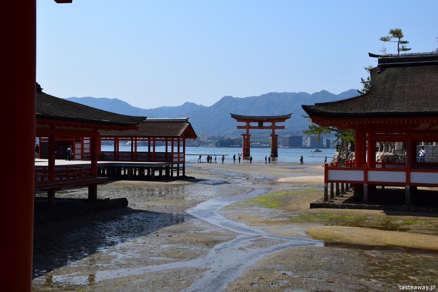 Japonia, co zobaczyć w Japonii, najpiękniejsze miejsca w Japonii, Miyajima, Hiroshima