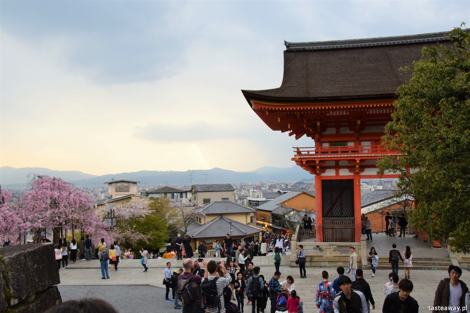 Japonia, co zobaczyć w Japonii, najpiękniejsze miejsca w Japonii, Kioto, Japonia w 2 tygodnie, co zobaczyć w Kioto