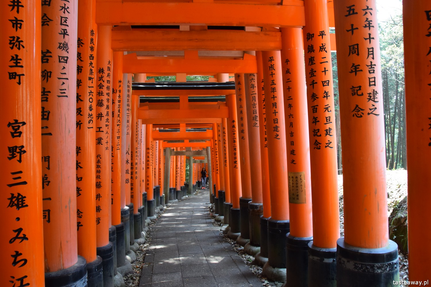 Japonia, co zobaczyć w Japonii, najpiękniejsze miejsca w Japonii, Kioto, Japonia w 2 tygodnie, co zobaczyć w Kioto, Fushimi Inari