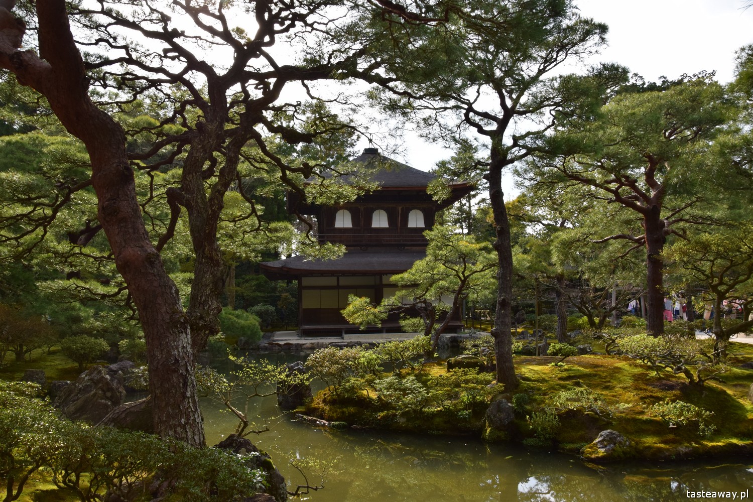Japonia, co zobaczyć w Japonii, najpiękniejsze miejsca w Japonii, Kioto, Japonia w 2 tygodnie, co zobaczyć w Kioto