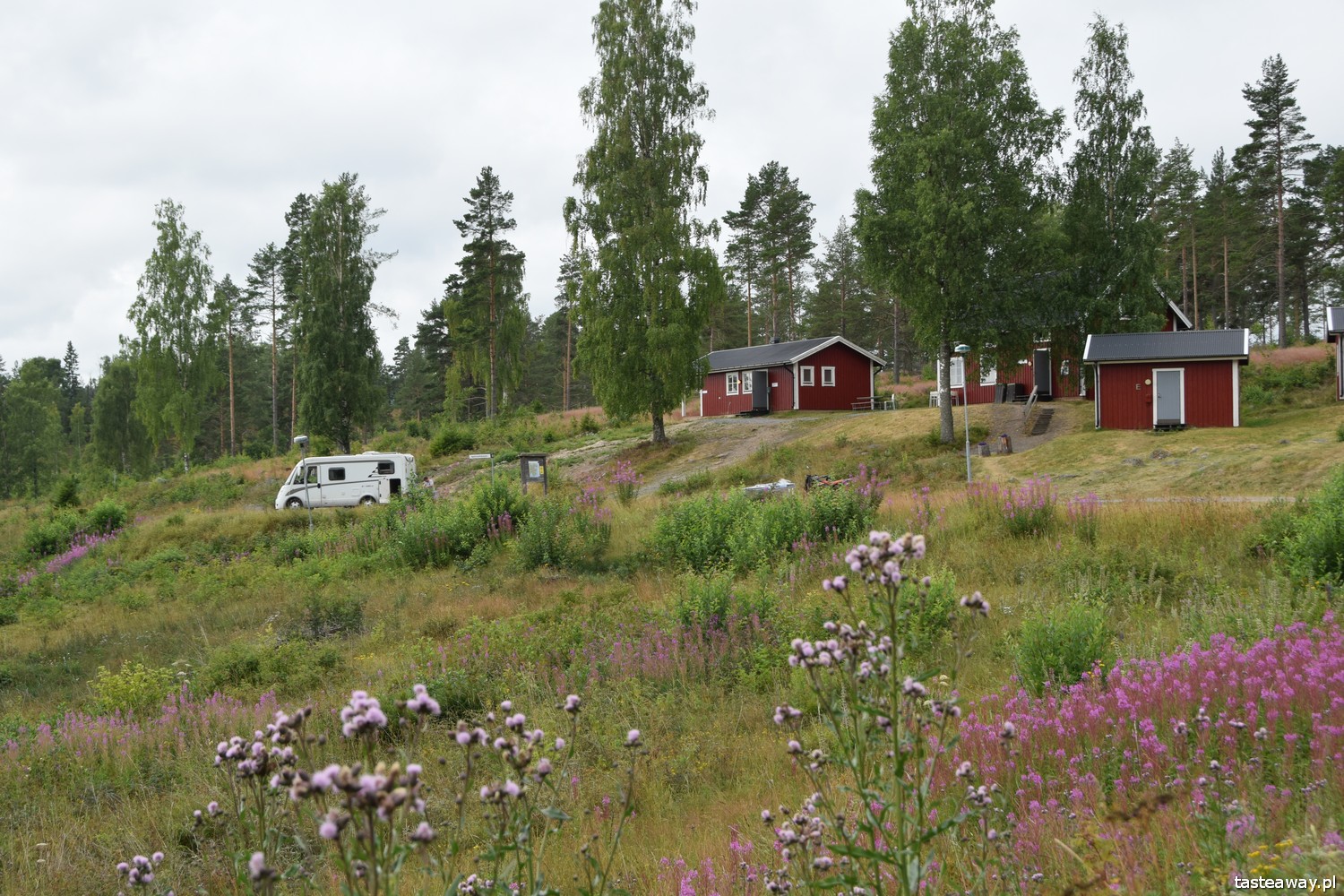 Szwecja, co robić w Szwecji, urlop w Szwecji, Szwecja kamperem, kempingi w Szwecji, Mavikens Camping