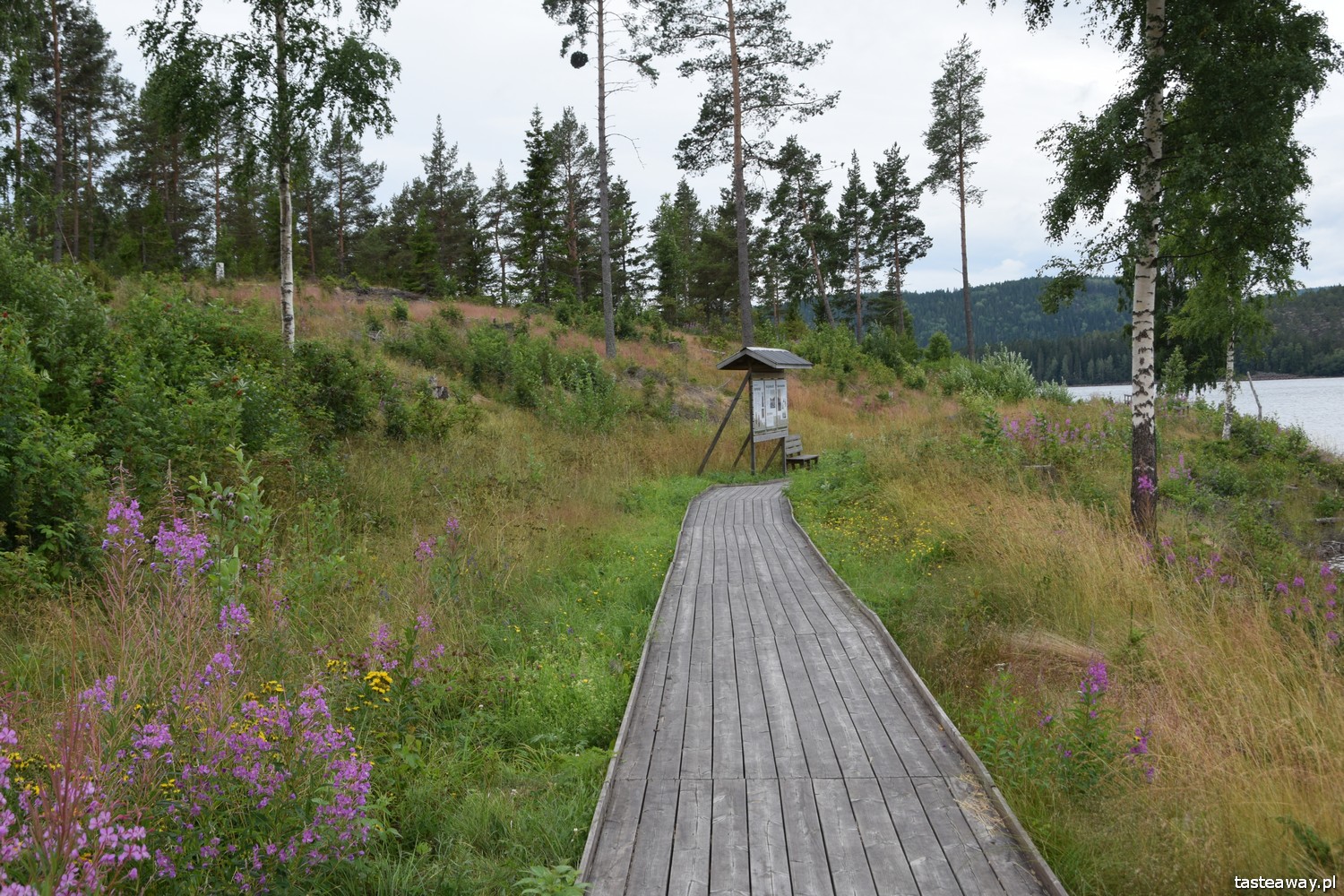 Szwecja, co robić w Szwecji, Mavikens kemping, urlop w Szwecji