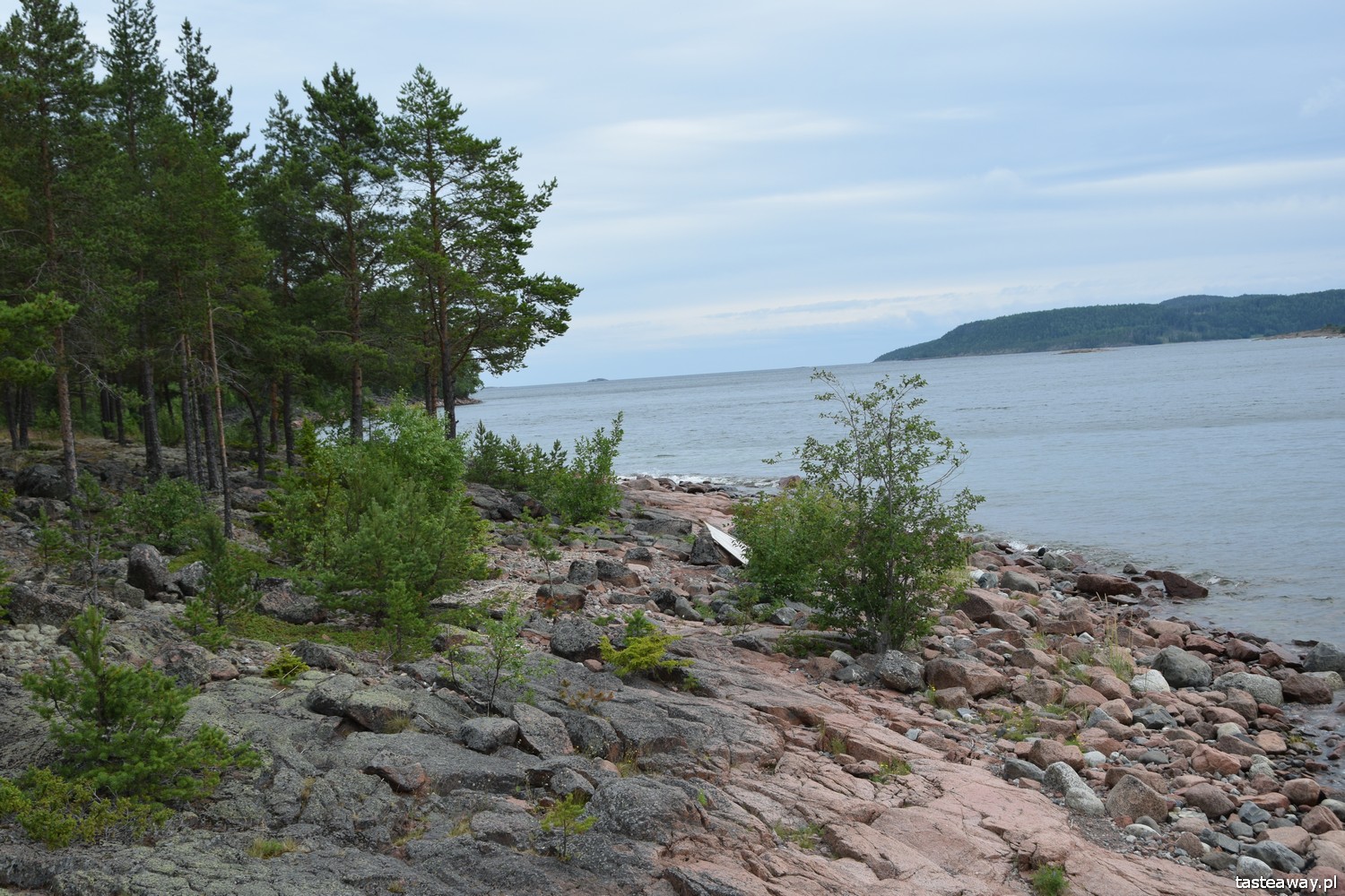 Szwecja, Mavikens Camping, natura, co robić w Szwecji, urlop w Szwecji, wakacje w Szwecji, fiord