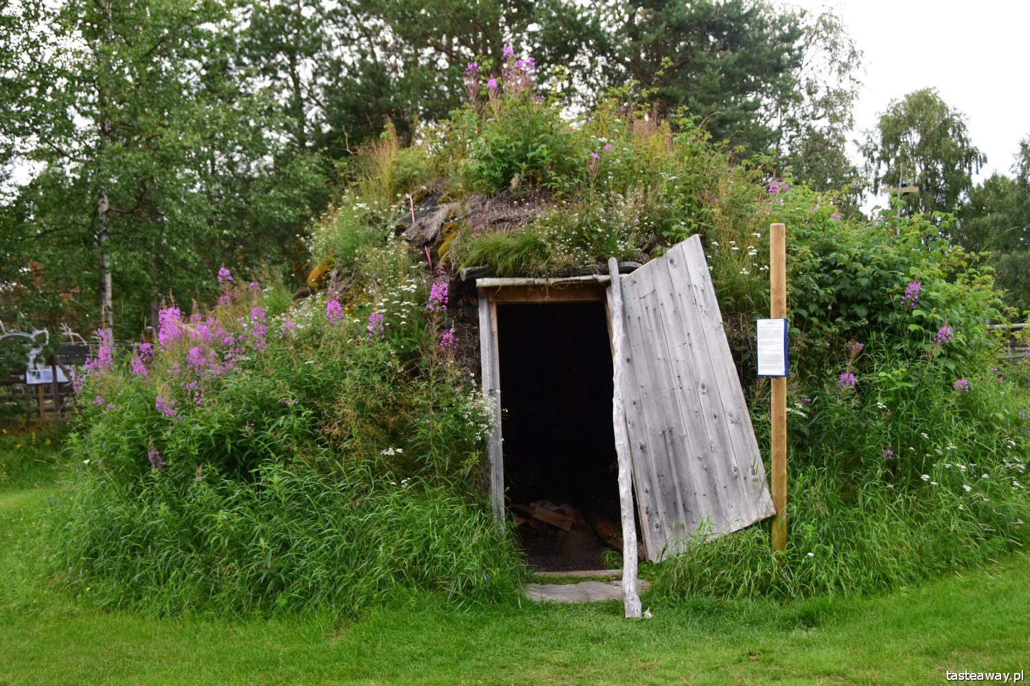 Szwecja, co zobaczyć w Szwecji, urlop w Szwecji, kultura Samów, Samowie, Jokkmokk