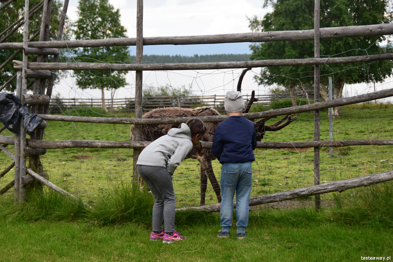 Szwecja z dziećmi, urlop w Szwecji, Szwecja z dziećmi, podróżowanie z dziećmi
