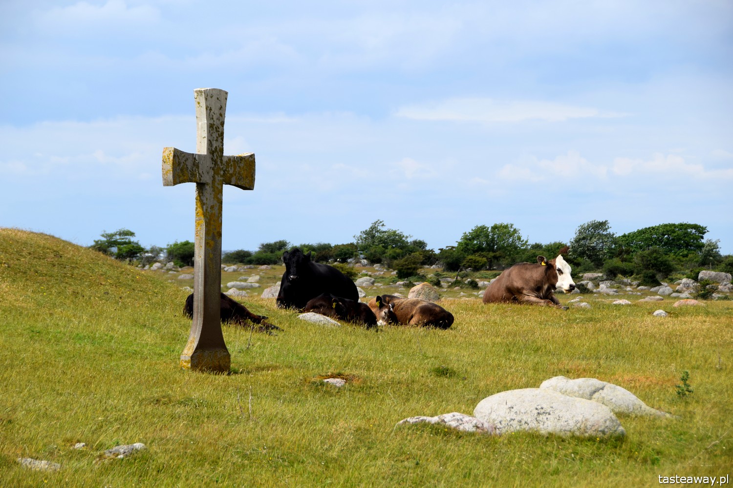 Szwecja, Olandia, wiatraki, co zobaczyć na Olandii, co zobaczyć w Szwecji