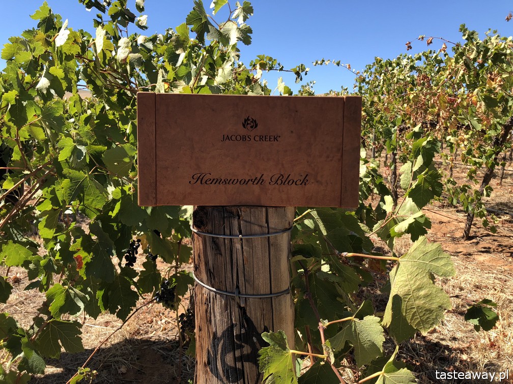 Australia, co zobaczyć w Australii, australijskie wino, Barossa Valley, wina Jacob's Creek