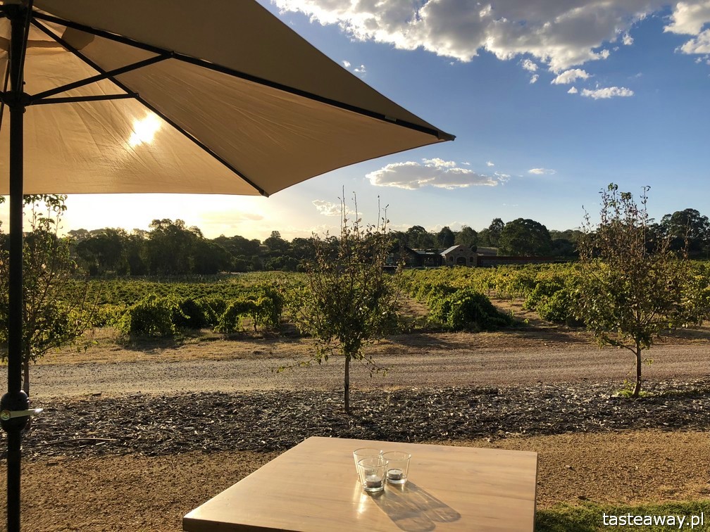Australia, co zobaczyć w Australii, australijskie wino, Barossa Valley, wina Jacob's Creek, wino, australijski styl życia, pogoda w Australii, jesień