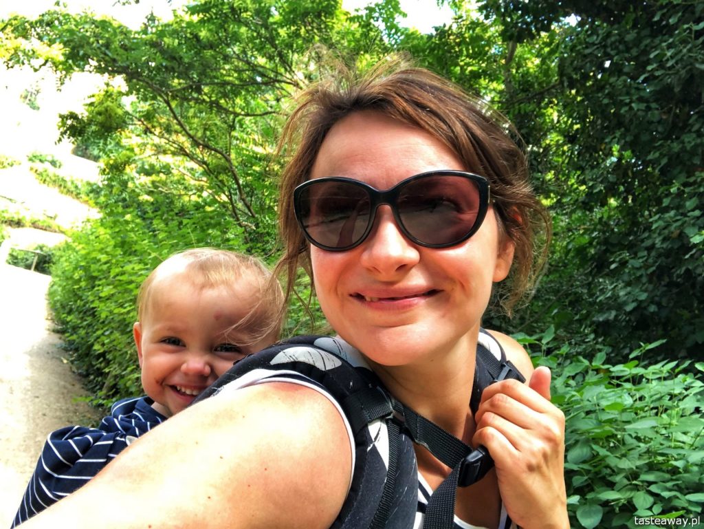 Segovia, Segovia w kilka godzin, 1 dzień w Segovii, gdzie spać w Segovii, Hotel Candido, co zjeść w Segovii, cochinillo asado