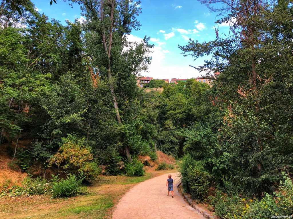 Segovia, Segovia w kilka godzin, 1 dzień w Segovii, gdzie spać w Segovii, Hotel Candido, co zjeść w Segovii, cochinillo asado, Alkazar