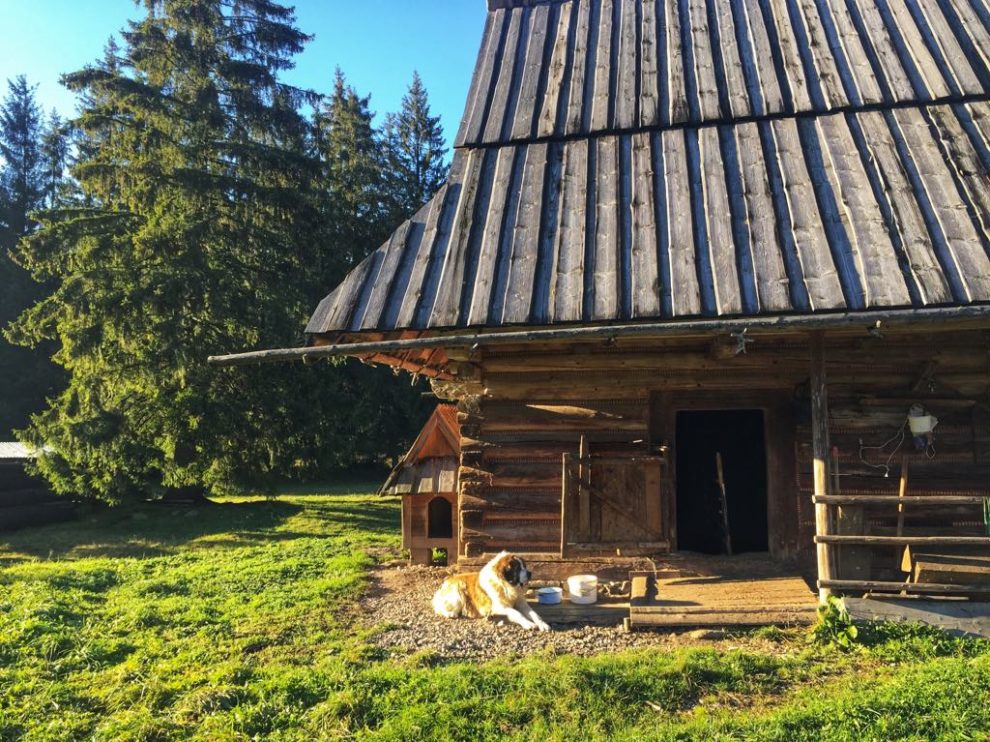 góry, dom w górach, Tatry, konkurs Almette, Almette, dom za miastem