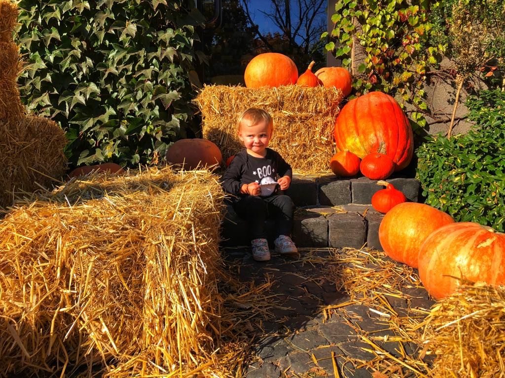 podsumowanie tygodnia, tydzień z Tasteaway, DESEO, jesień w DESEO